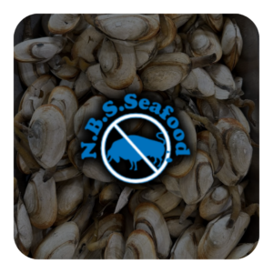 N.B.S. Seafood