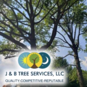 J & B Tree Services LLC
