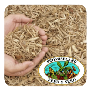 Promiseland Feed & Seed