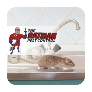 The Ratman Pest Control