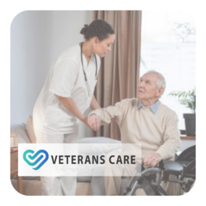 Wellington Care and Services