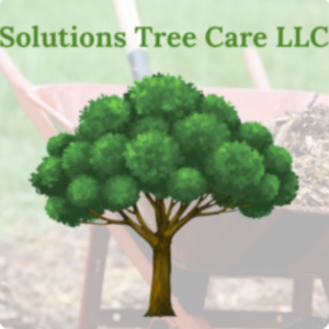Solutions Tree Care LLC