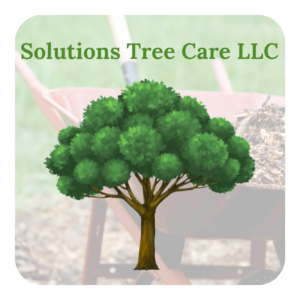 Solutions Tree Care LLC