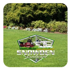 Snowden Landscape