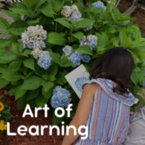 Art of Learning