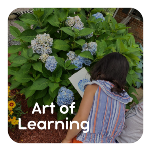 Art of Learning