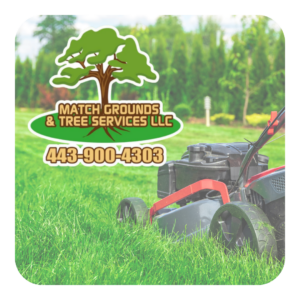 Match Grounds & Tree Services LLC