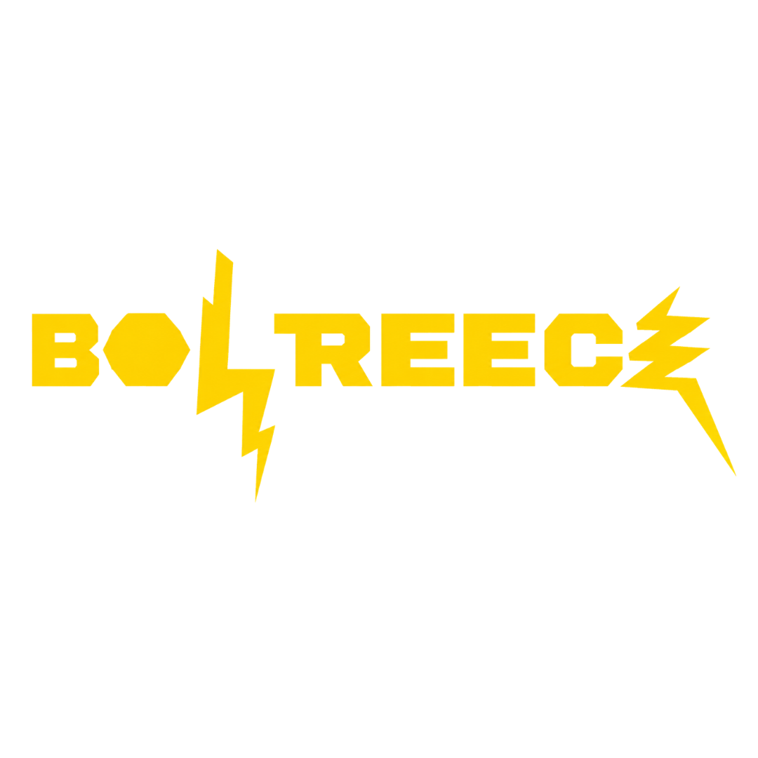 Boltreece Junk Removal logo