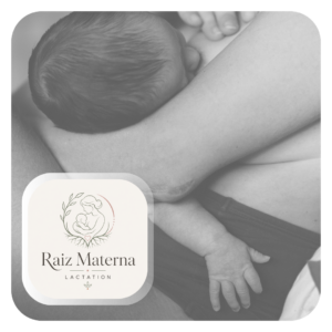 Raiz Materna Lactation
