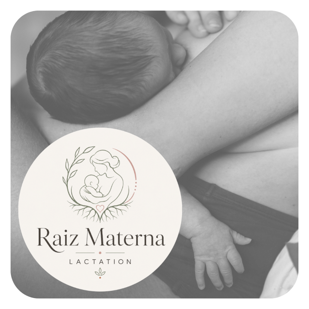 Raiz Materna Lactation