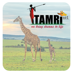 TAMRI International