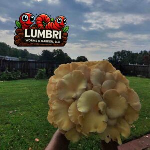 LUMBRI WORMS & GARDEN, LLC