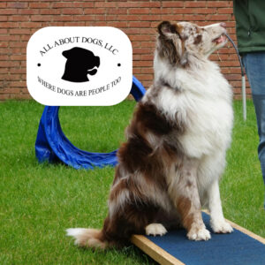 All About Dogs